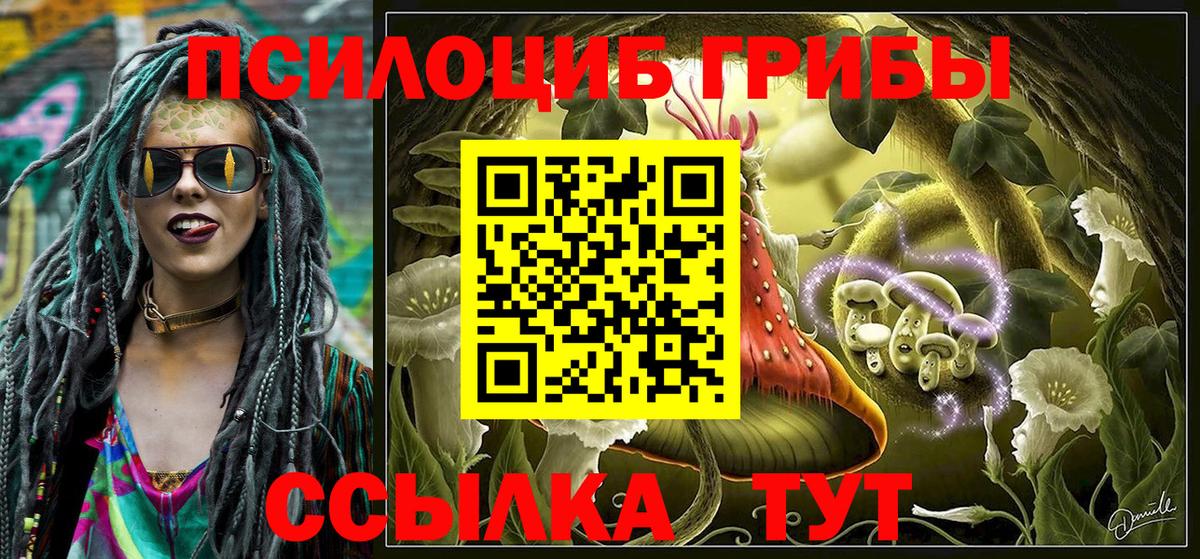 закладка  Псилоцибиновые грибы мицелий  Вход с VPN  Галлюциногенные грибы ЛСД  Ахтубинск 